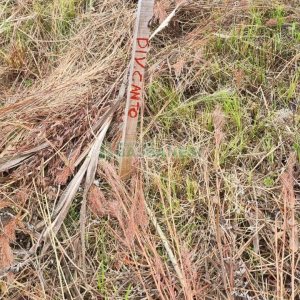 Terreno com 360m², no bairro Monte Bérico em Caxias do Sul para Comprar