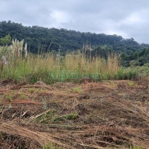 Terreno com 360m², no bairro Monte Bérico em Caxias do Sul para Comprar