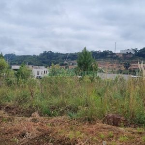 Terreno com 360m², no bairro Monte Bérico em Caxias do Sul para Comprar