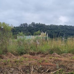 Terreno com 360m², no bairro Monte Bérico em Caxias do Sul para Comprar