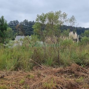 Terreno com 360m², no bairro Monte Bérico em Caxias do Sul para Comprar