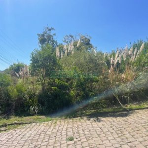 Terreno, no bairro Colina Sorriso em Caxias do Sul para Comprar