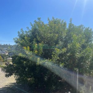 Terreno, no bairro Colina Sorriso em Caxias do Sul para Comprar