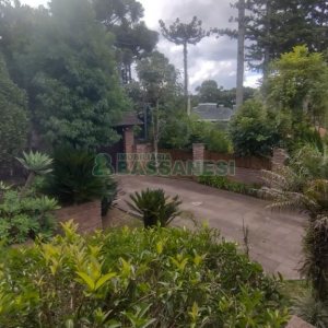 Casa com 301m², 6 dormitórios, 2 vagas, no bairro Ana Rech em Caxias do Sul para Comprar