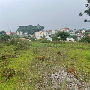 Terreno com 5526m², no bairro Esplanada em Caxias do Sul para Comprar