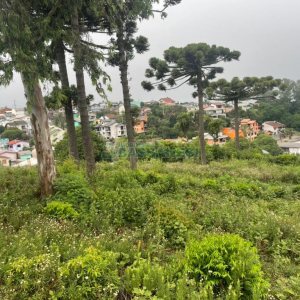 Terreno com 5526m², no bairro Esplanada em Caxias do Sul para Comprar