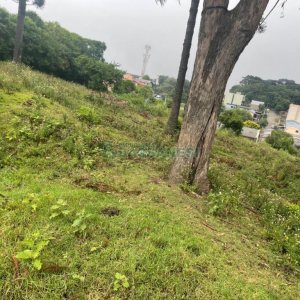 Terreno com 5526m², no bairro Esplanada em Caxias do Sul para Comprar