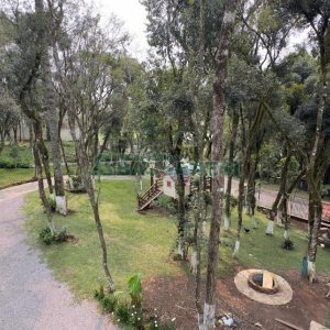 Casa com 100m², 2 dormitórios, 2 vagas, no bairro Ana Rech em Caxias do Sul para Alugar