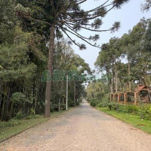 Casa com 100m², 2 dormitórios, 2 vagas, no bairro Ana Rech em Caxias do Sul para Alugar