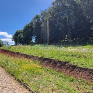 Terreno, no bairro Linha 40 em Caxias do Sul para Comprar