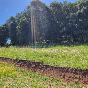 Terreno, no bairro Linha 40 em Caxias do Sul para Comprar