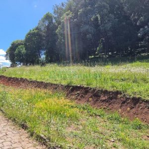Terreno, no bairro Linha 40 em Caxias do Sul para Comprar