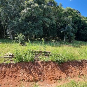 Terreno, no bairro Linha 40 em Caxias do Sul para Comprar