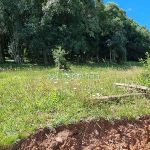 Terreno, no bairro Linha 40 em Caxias do Sul para Comprar