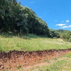 Terreno, no bairro Linha 40 em Caxias do Sul para Comprar