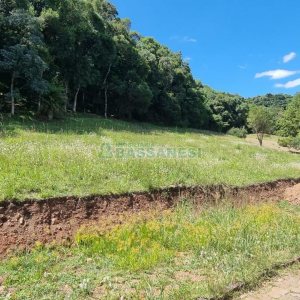 Terreno, no bairro Linha 40 em Caxias do Sul para Comprar