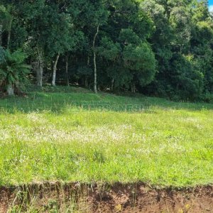 Terreno, no bairro Linha 40 em Caxias do Sul para Comprar