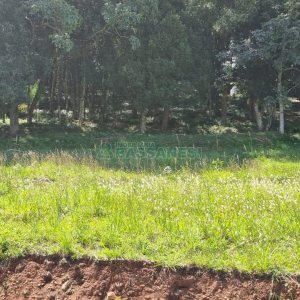 Terreno, no bairro Linha 40 em Caxias do Sul para Comprar
