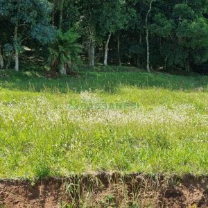 Terreno, no bairro Linha 40 em Caxias do Sul para Comprar