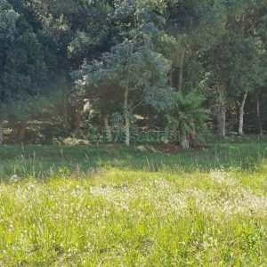 Terreno, no bairro Linha 40 em Caxias do Sul para Comprar