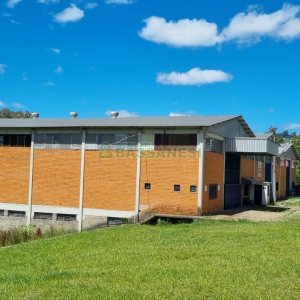 Pavilhão com 2100m², no bairro Linha 40 em Caxias do Sul para Comprar