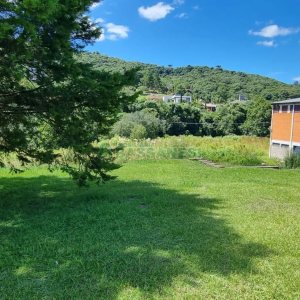 Terreno, no bairro Linha 40 em Caxias do Sul para Comprar