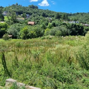 Terreno, no bairro Linha 40 em Caxias do Sul para Comprar