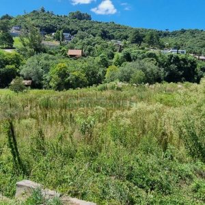 Terreno, no bairro Linha 40 em Caxias do Sul para Comprar