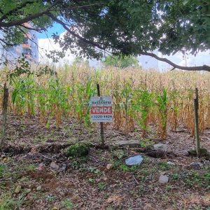 Terreno, no bairro São Luiz em Caxias do Sul para Comprar
