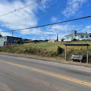 Terreno, no bairro São Luiz em Caxias do Sul para Comprar