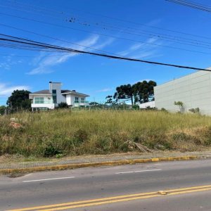 Terreno, no bairro São Luiz em Caxias do Sul para Comprar