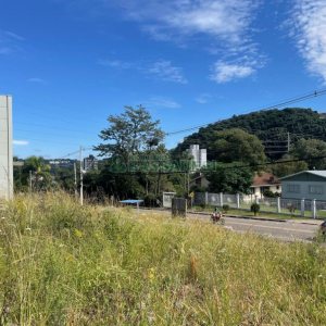 Terreno, no bairro São Luiz em Caxias do Sul para Comprar