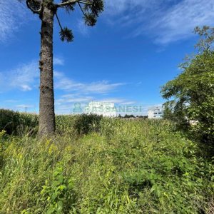 Terreno, no bairro São Luiz em Caxias do Sul para Comprar