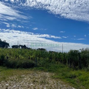 Terreno, no bairro São Luiz em Caxias do Sul para Comprar