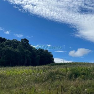 Terreno, no bairro São Luiz em Caxias do Sul para Comprar