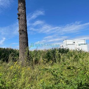 Terreno, no bairro São Luiz em Caxias do Sul para Comprar