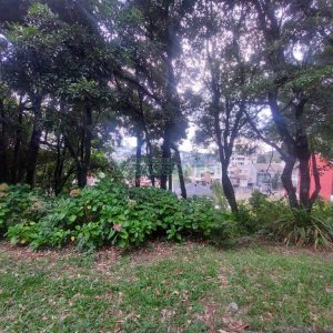 Terreno, no bairro Santa Catarina em Caxias do Sul para Comprar
