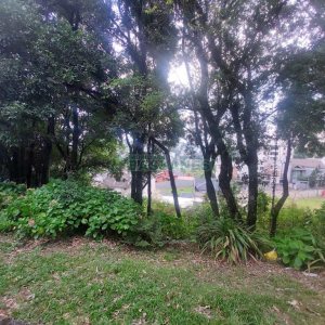 Terreno, no bairro Santa Catarina em Caxias do Sul para Comprar