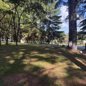 Terreno, no bairro Nossa Senhora do Rosário em Caxias do Sul para Comprar