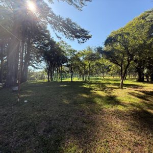 Terreno, no bairro Nossa Senhora do Rosário em Caxias do Sul para Comprar