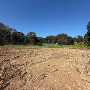 Terreno, no bairro Nossa Senhora do Rosário em Caxias do Sul para Comprar