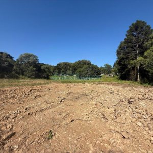 Terreno, no bairro Nossa Senhora do Rosário em Caxias do Sul para Comprar