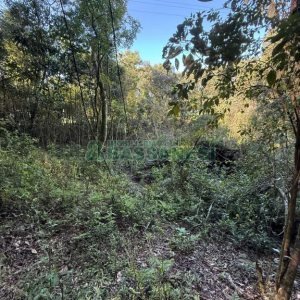 Terreno, no bairro Nossa Senhora do Rosário em Caxias do Sul para Comprar
