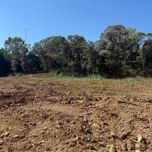 Terreno, no bairro Nossa Senhora do Rosário em Caxias do Sul para Comprar