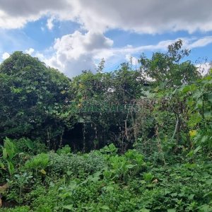 Predio com 893m², no bairro São Ciro em Caxias do Sul para Comprar