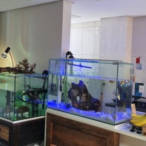 Kitinete com 40m², 1 dormitório, no bairro Pio X em Caxias do Sul para Comprar