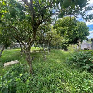 Terreno, no bairro Cinqüentenário em Caxias do Sul para Comprar