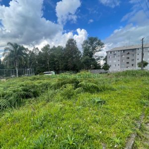 Terreno, no bairro Nossa Senhora das Graças em Caxias do Sul para Comprar