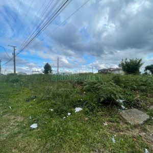 Terreno, no bairro Nossa Senhora das Graças em Caxias do Sul para Comprar