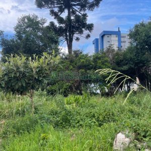 Terreno, no bairro Vila Verde em Caxias do Sul para Comprar